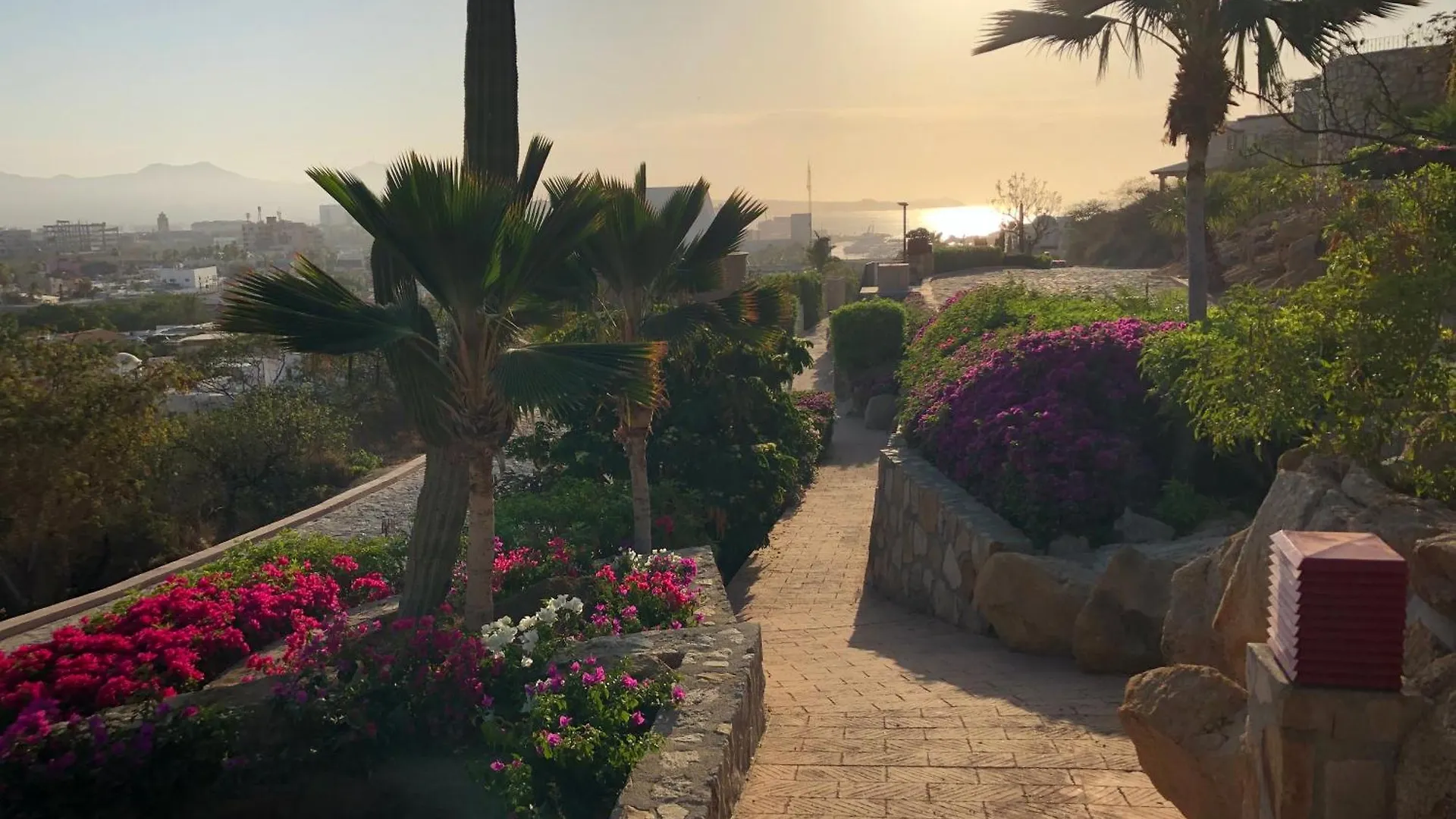 Homestay Casa Robyn Apartment Cabo San Lucas